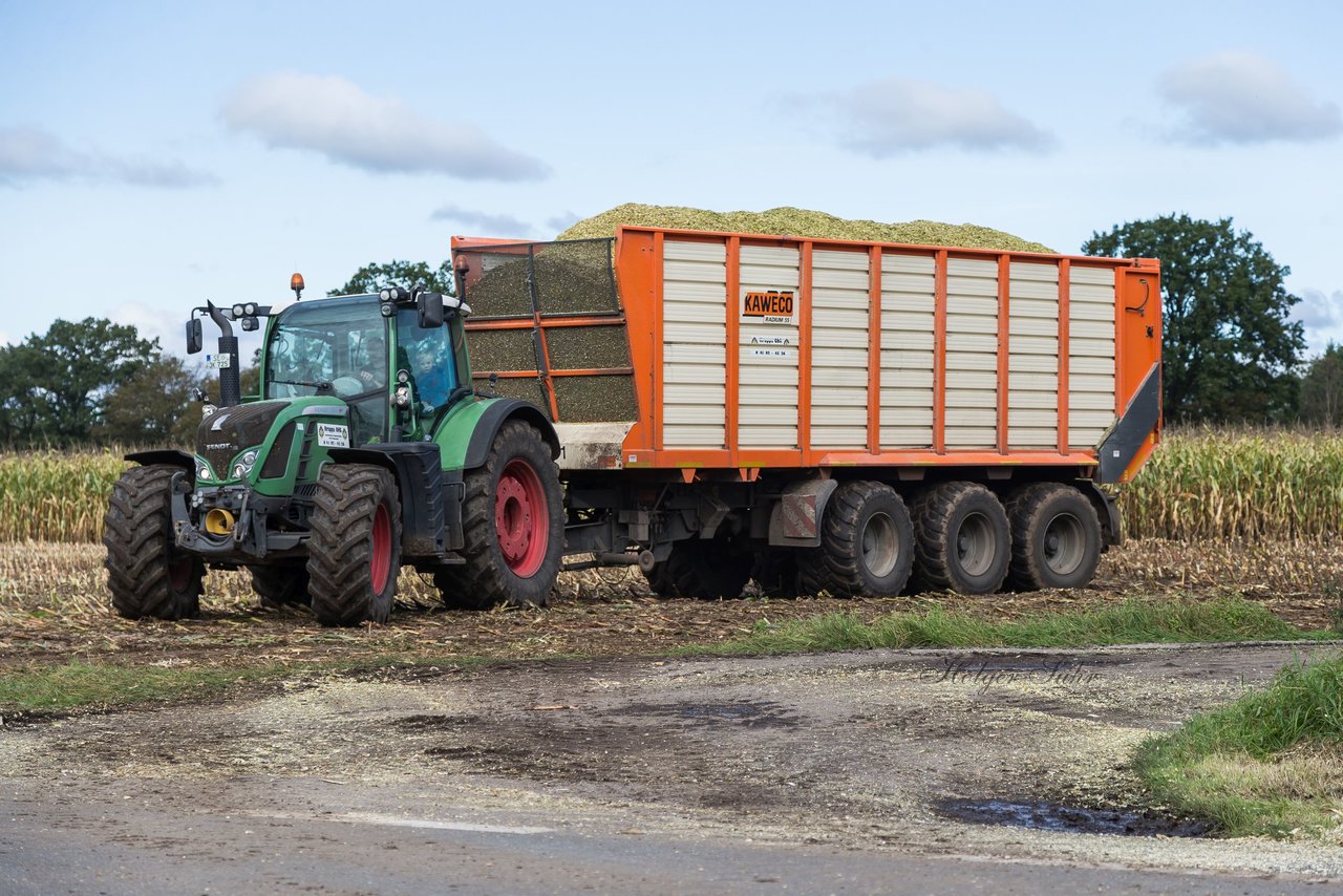 Bild 136 - Maisernte